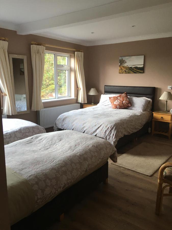 Bed and Breakfast Atlantic View à Clifden Extérieur photo